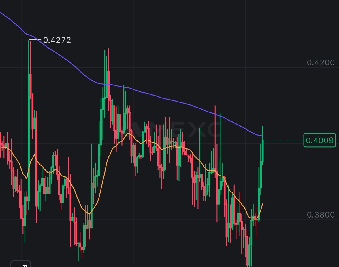 ferneypips's tweet photo. When I pumped?
NOW ✈️✈️✈️✈️✈️✈️✈️✈️
#AZERO $AZERO BUY https://t.co/SNfmRUJJm4