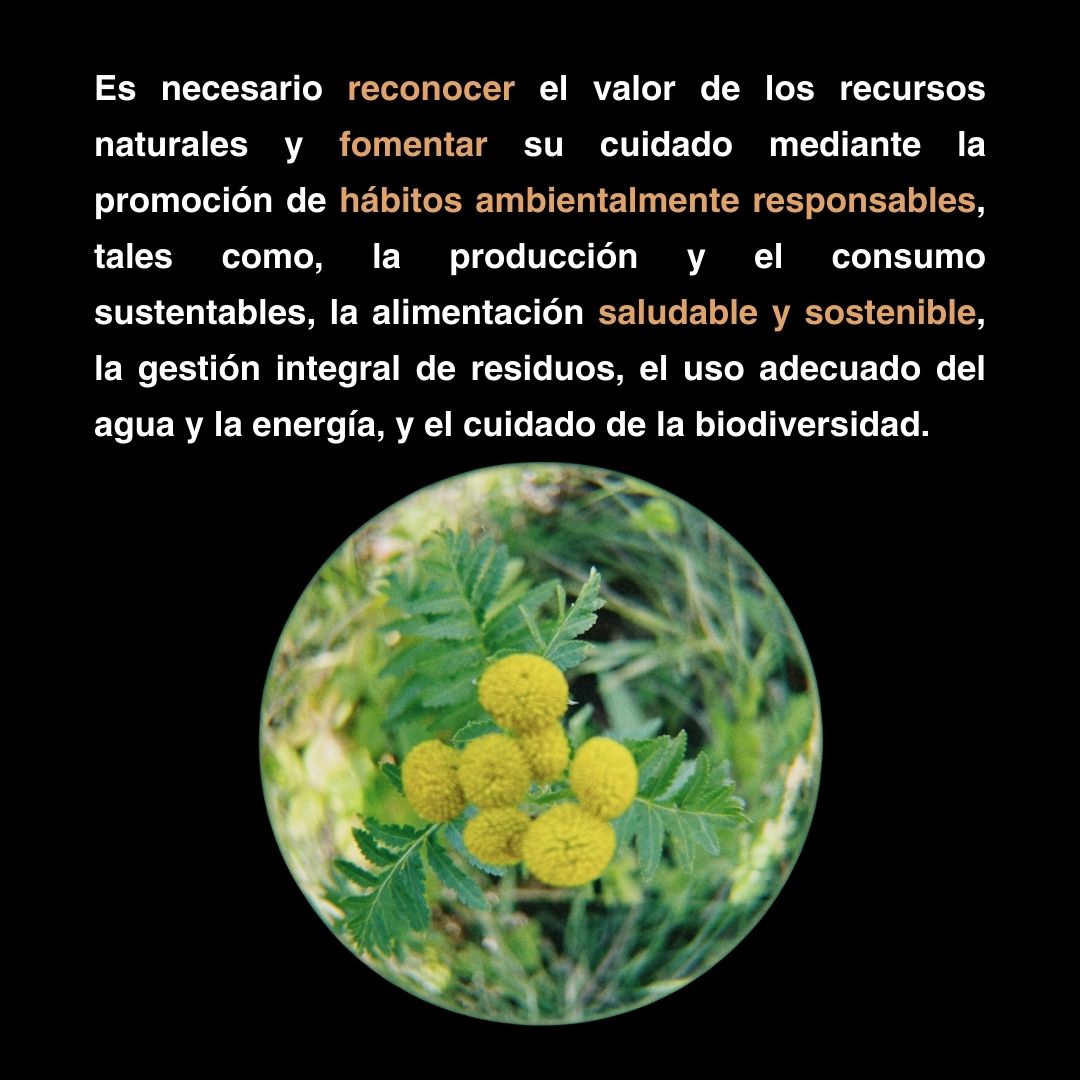 UNAM_PINCC's tweet photo. Hoy recordamos que cada acción cotidiana conlleva un impacto ambiental 📷📷
#27deseptiembre
#Diadelaconcienciambiental
#PINCC
#UNAM
#REDUCC https://t.co/mGIb8j7fkg