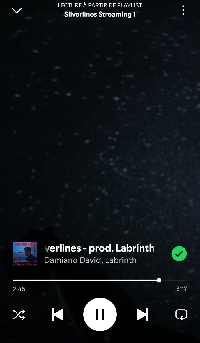 zittieangelis's tweet image. 🫡🫡#StreamSilverlines