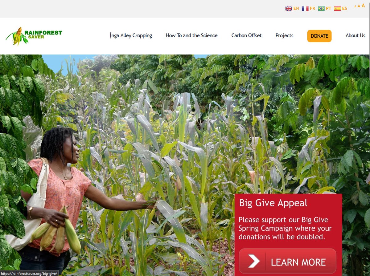 Pixelshrink @pixelshrink.bsky.social tweet media