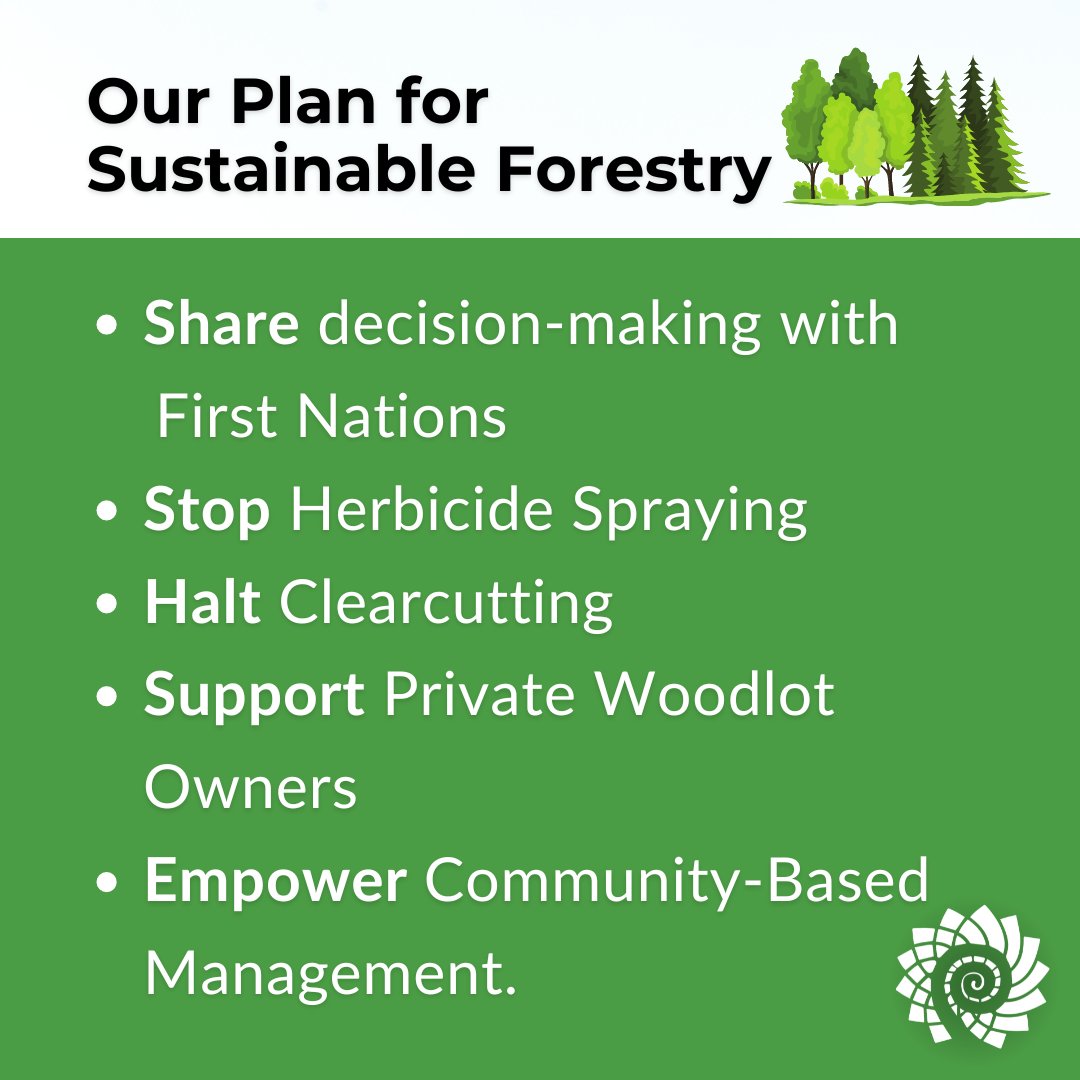 GreenPartyNB's tweet image. New Brunswick needs a new approach to forestry. It’s time to embrace sustainability by focusing on First Nations’ partnerships, community engagement, and ecological practices. Today, we unveiled our Sustainable Forestry Plan.

We will stop clearcutting, end herbicide spraying,…