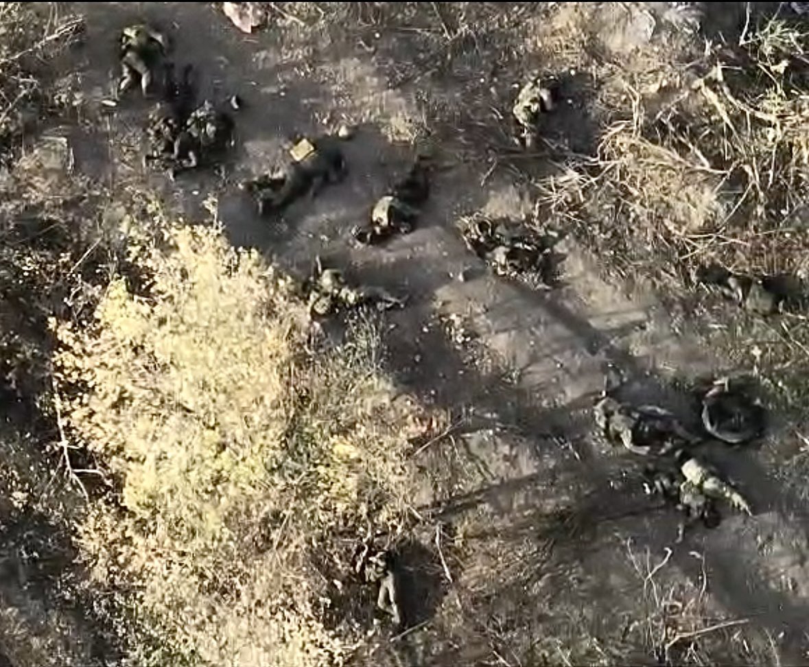 slovyanskasil's tweet image. Місяць на Покровському напрямку. 
Без зайвого, було пророблено колосальну роботу по стабілізації ділянки і планомірному знищенню ворога. Ворога, якого стільки не бачив з часів оборони Бахмута. Поки щоденні штурмові дії стягуєм, але як на мене цей напрям потребує більше уваги…