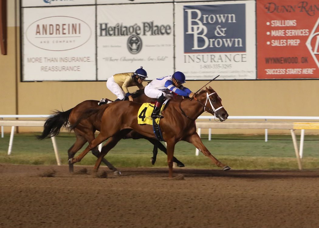 _Clark_Shepherd's tweet photo. Stakes Winner and 2023 Champion OK-bred 3YO filly, Nice Neighbor (Good Samaritan) scores her fifth career win last night at @RemingtonPark.

Jockey: Jose L. Alvarez 
Trainer: Bret Calhoun
Owner: Highlander Training Center
Breeder: @AmyBayle 

Purchased by @OPTIMAL_Matings for @HighlanderTrai3 from Scott Mallory at the 2021 @FasigTiptonCo February Sale.

Congrats to all!