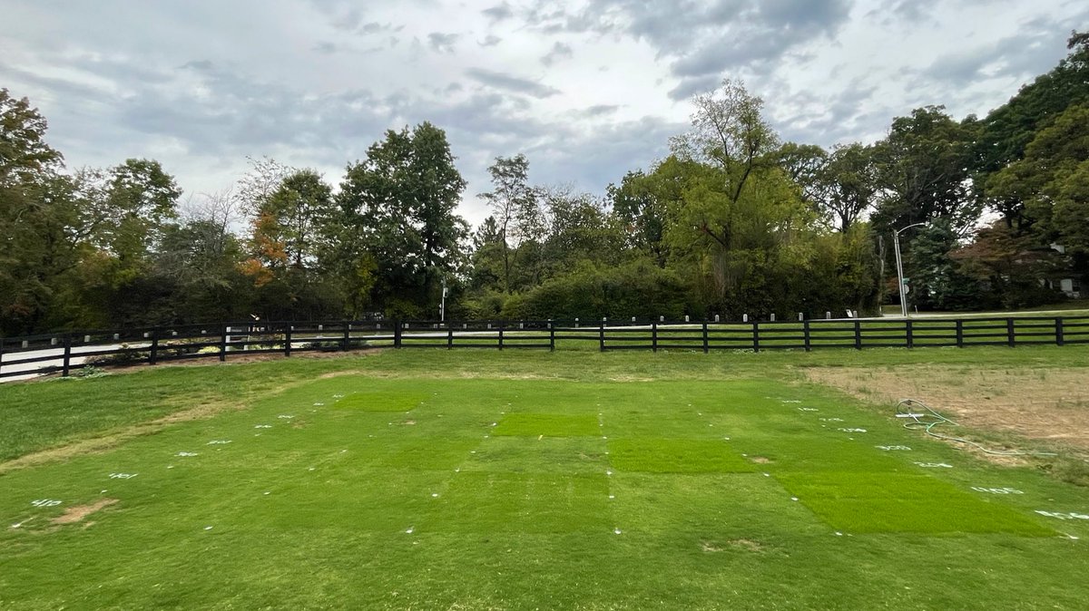 Over the next 8 weeks <a href="/VTTurfgrass/">Virginia Tech Turfgrass Science</a> students are evaluating annual, perennial, &amp; intermediate ryegrass, and Poa triv, for overseeding bermudagrass athletic fields in their Golf + Sports #Turf laboratory. Already seeing some nice treatment differences at just 1 week after seeding.