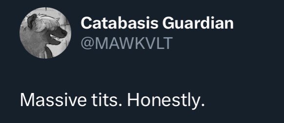 Runeseeker Visuals tweet media