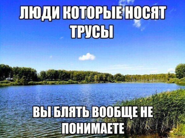 аня ричи ! tweet media