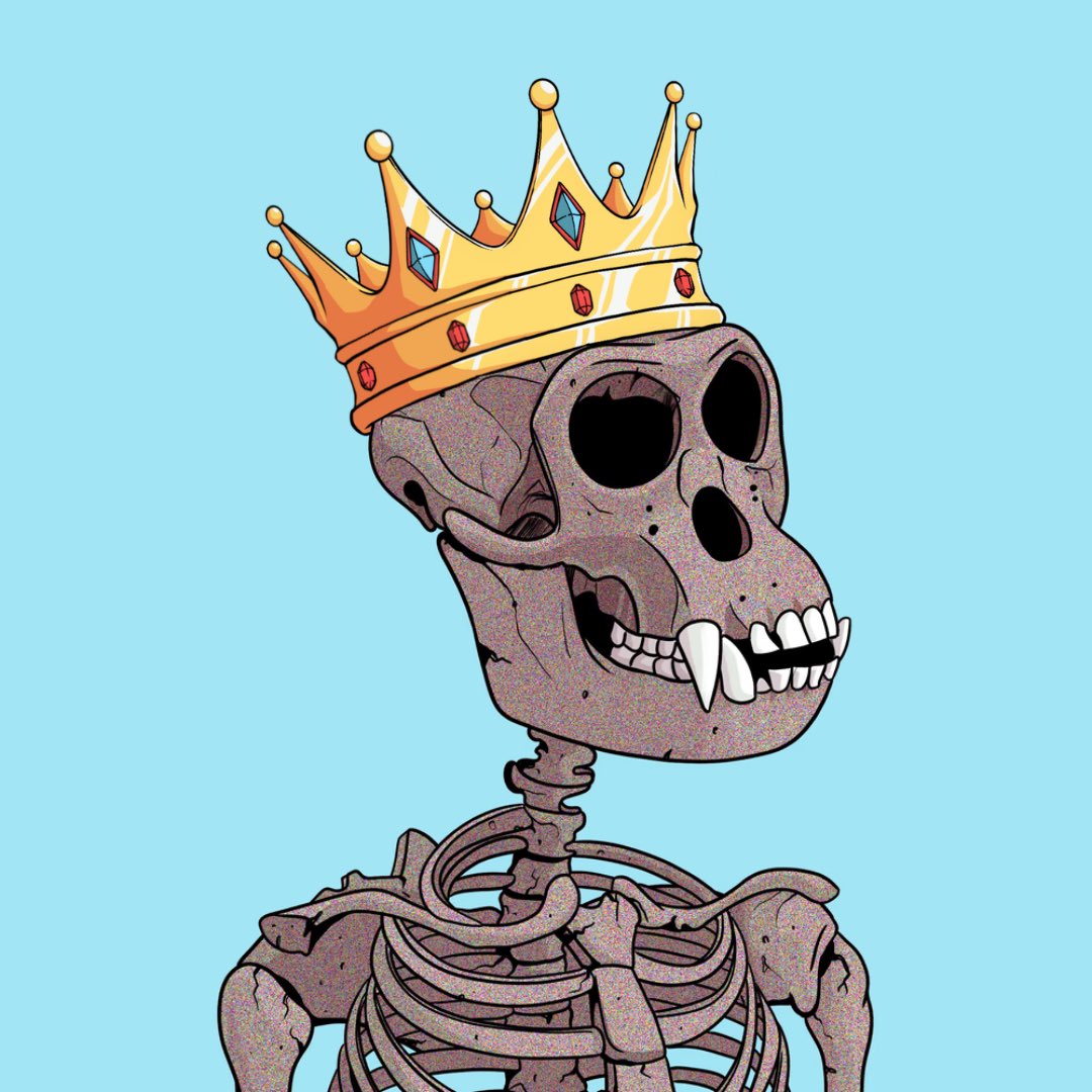 Proper crown for proper kings! 👑 

These r dope 🦴