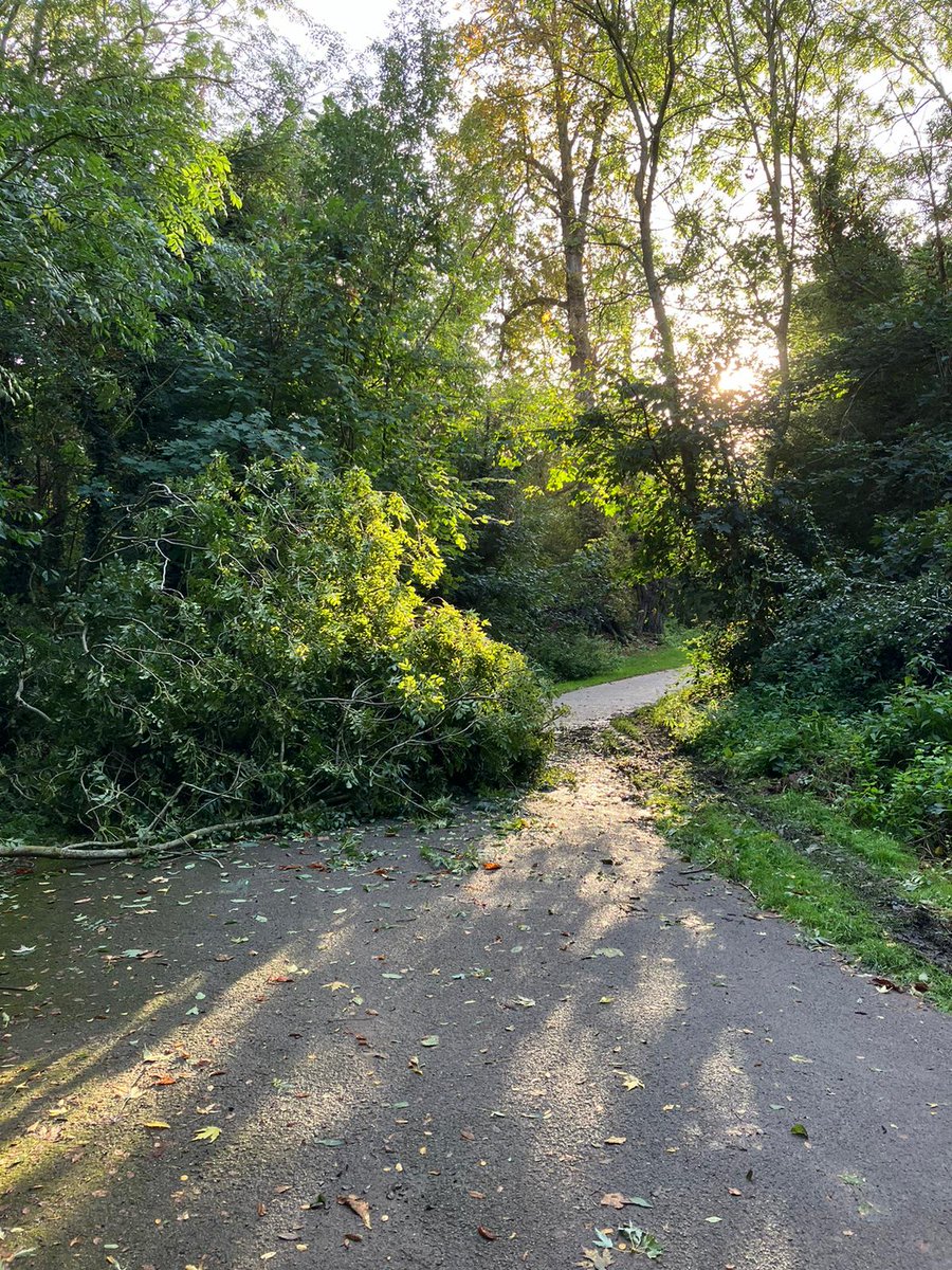 Crane parkrun tweet media