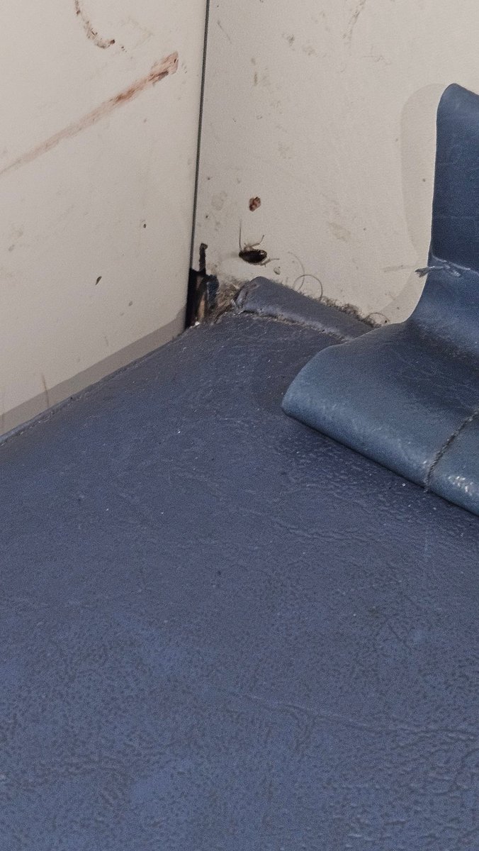 _Devashish1's tweet image. Really horrible service with Yashwanthpur Pondicherry 16573 @drmsbc @RailMinIndia @RailwaySeva . Compartment full of cockroach . Inconvenience to passengers with Hygine and cleanliness @deccanherald @SW_Help @GMSWR  @AshwiniVaishnaw