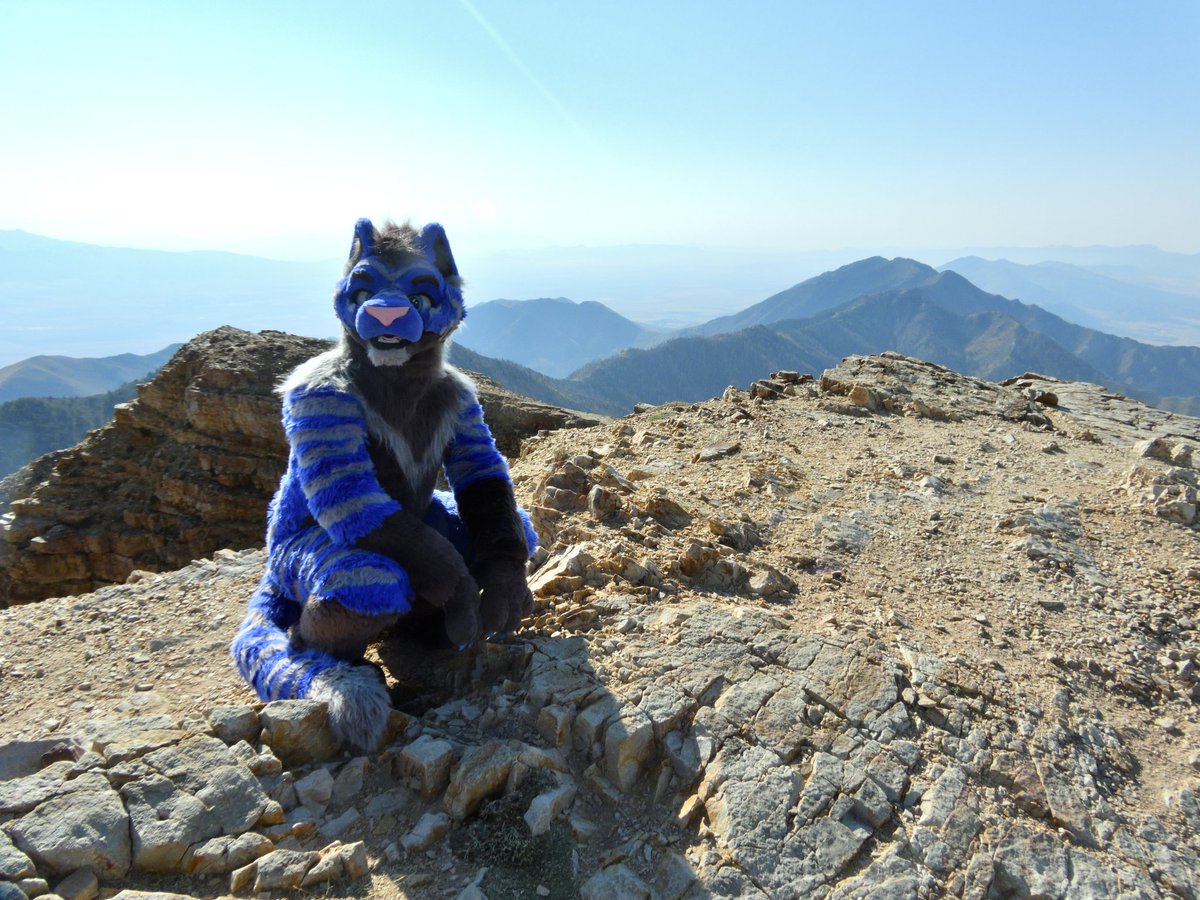 ❄Atticus Frost❄ (@atticus_frost) on Twitter photo Whew! That was a long one! Can't wait for my next adventure!
#FursuitFriday #Furry #Fursuit #Tiger #Mountains #Nature
🪡: <a href="/TokaiSuiting/">Tokai Suiting</a> Whew! That was a long one! Can't wait for my next adventure!
#FursuitFriday #Furry #Fursuit #Tiger #Mountains #Nature
🪡: <a href="/TokaiSuiting/">Tokai Suiting</a>