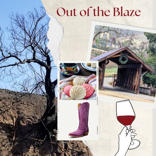ClaudiaArmann's tweet photo. Breaking in a new pair of cowboy boots is a bitch. The cruel blister on my heel throbs with each step I take. These plum-hued boots were meant to ease me into my new life at the vineyard, not cause me pain.

Olga Dies Dreaming X L.A. Weather

#A #WF #Latine #1stLinePit https://t.co/UQfjixJp6C