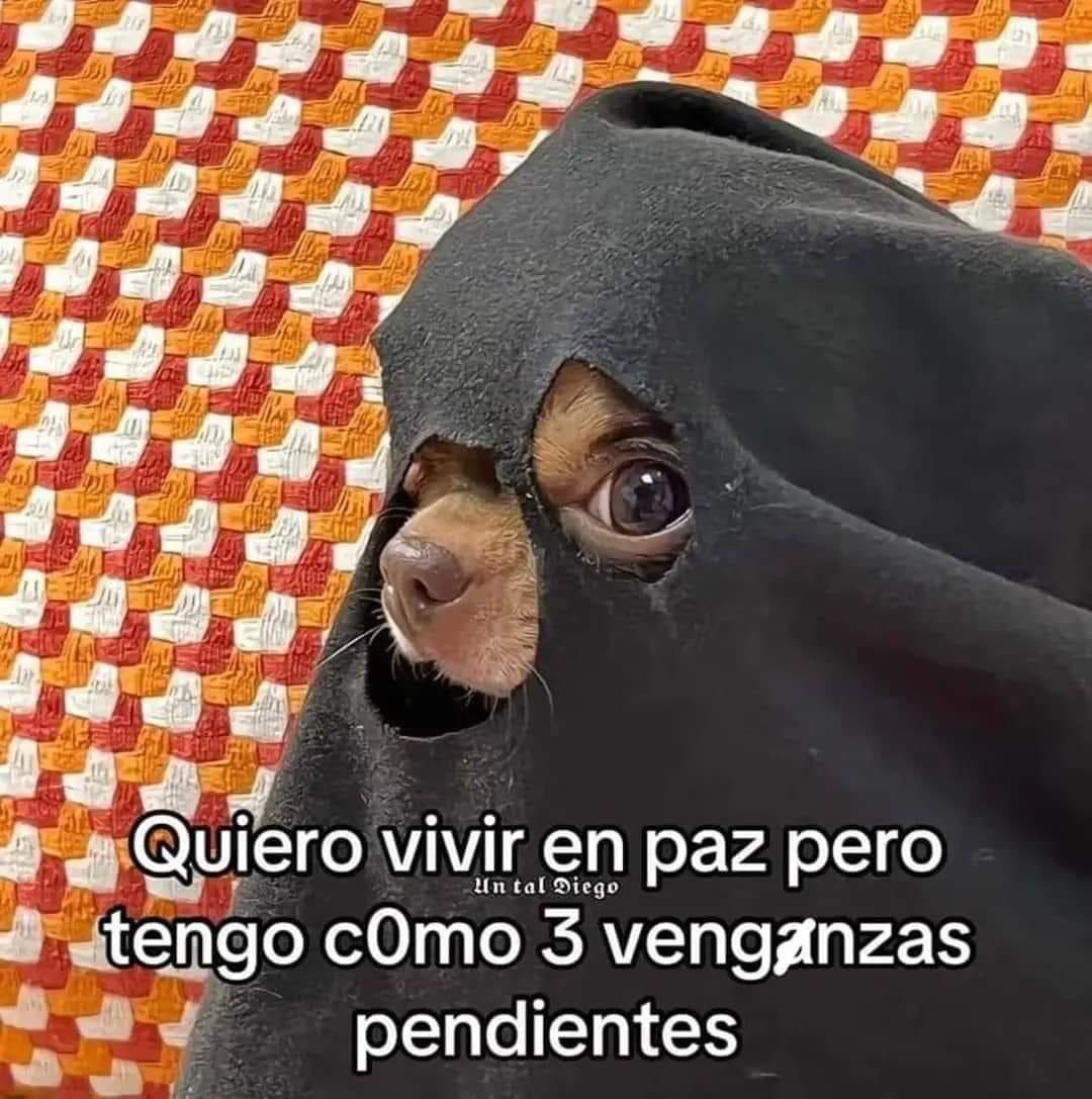 Brujo_Belico's tweet image. 😈