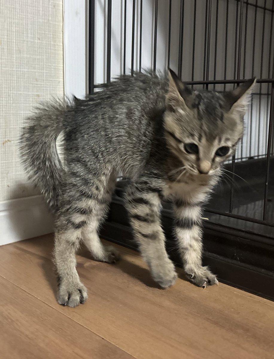 aims2koz's tweet photo. 見事なやんのか https://t.co/6kCtQV9DSq