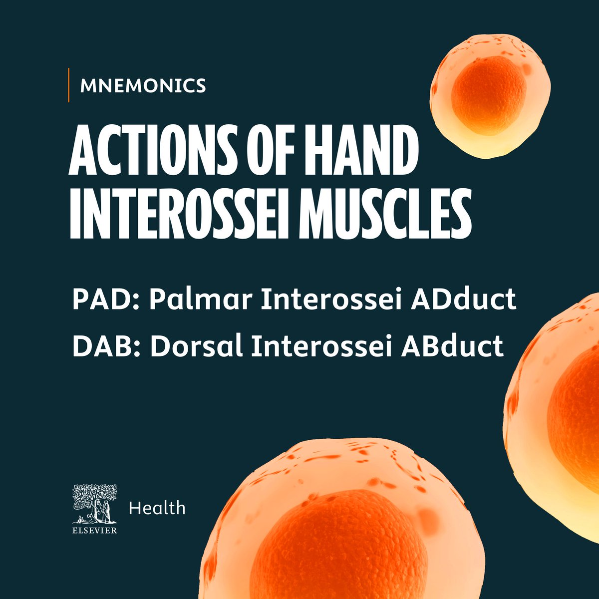 Elsevier Med Students tweet media