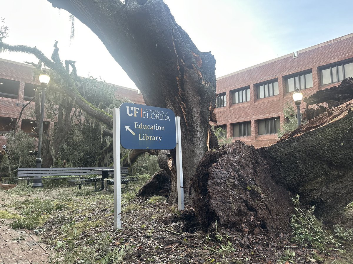 Evan Warner tweet media