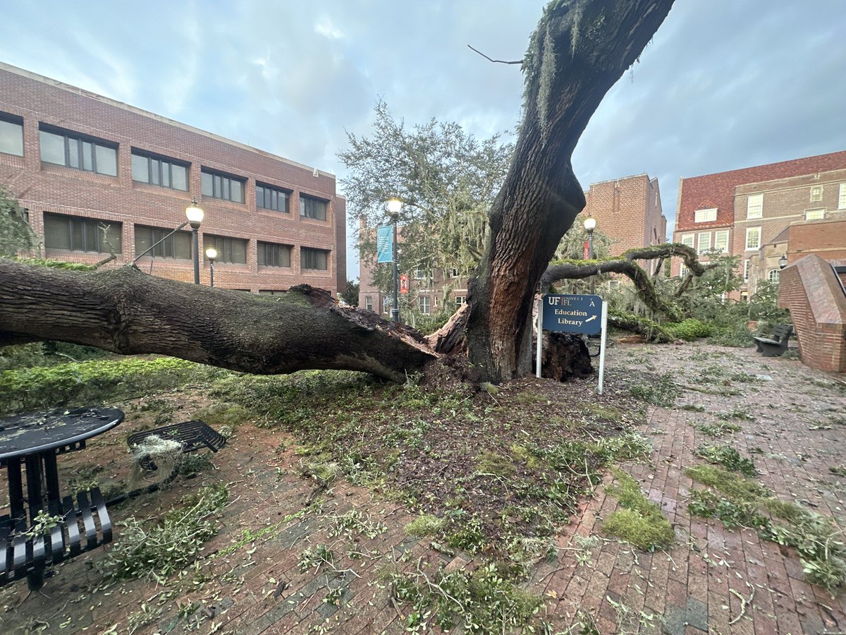 Evan Warner tweet media