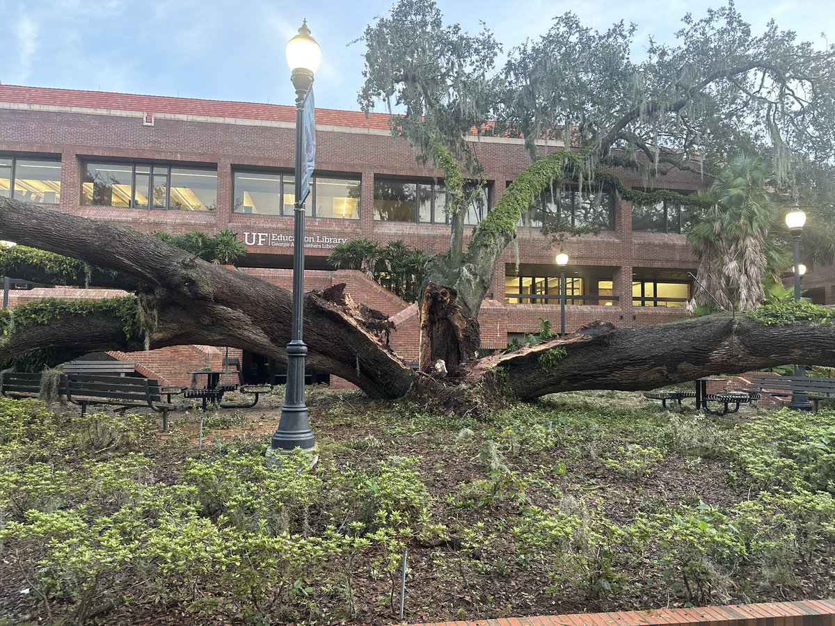 Evan Warner tweet media