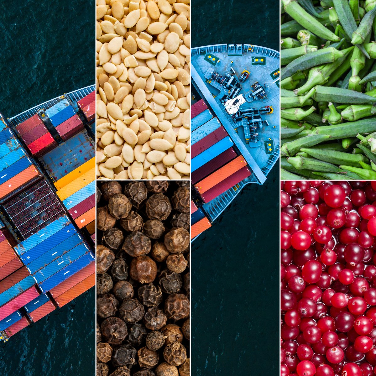 Suffolk Coastal Port Health Authority tweet media