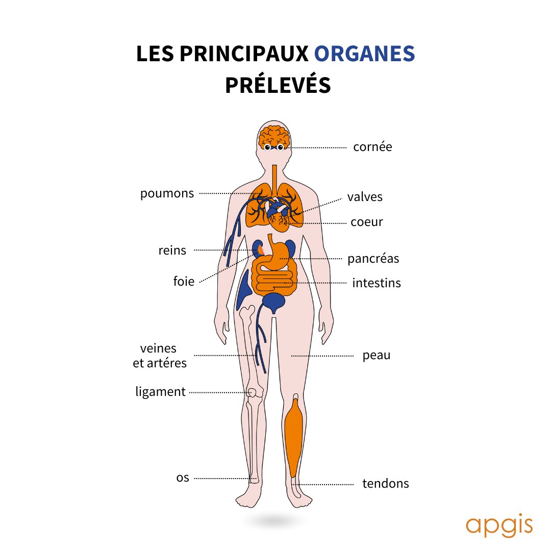 Aujourd’hui, c’est la journée mondiale du don d’organes !

Saviez-vous qu'un seul donneur peut sauver jusqu'à trois vies ? En France, chaque personne est considérée comme donneur potentiel, à moins d'avoir exprimé son refus.

Pour plus d'informations : dondorganes.fr