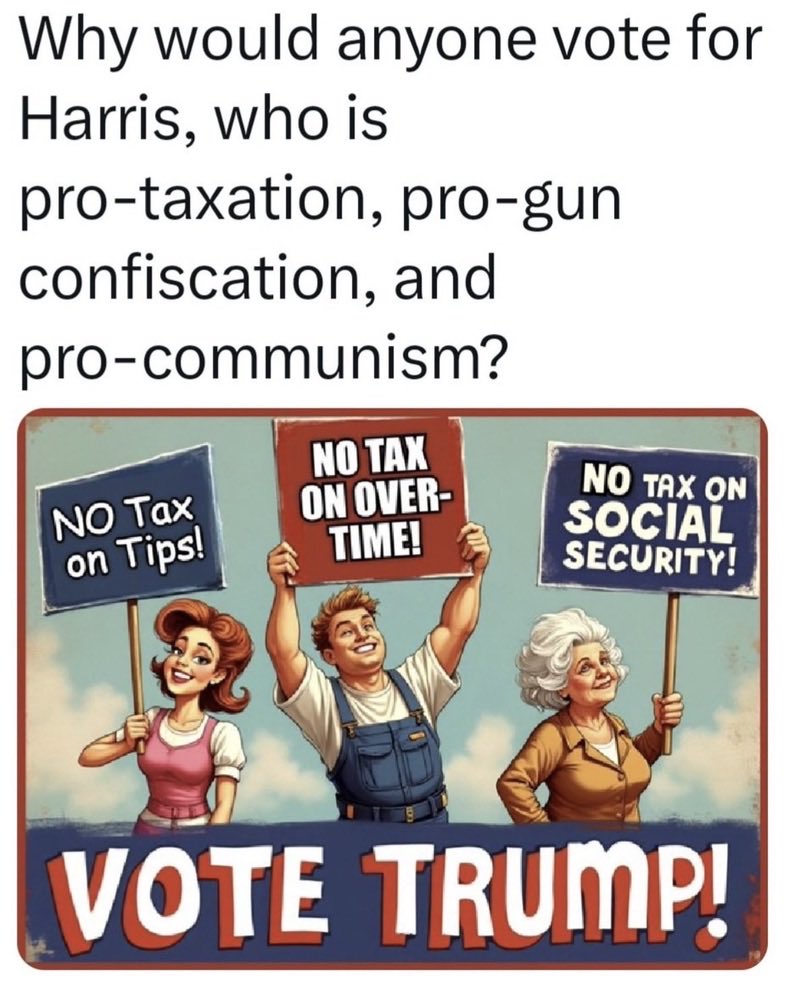 Amy Sears tweet media