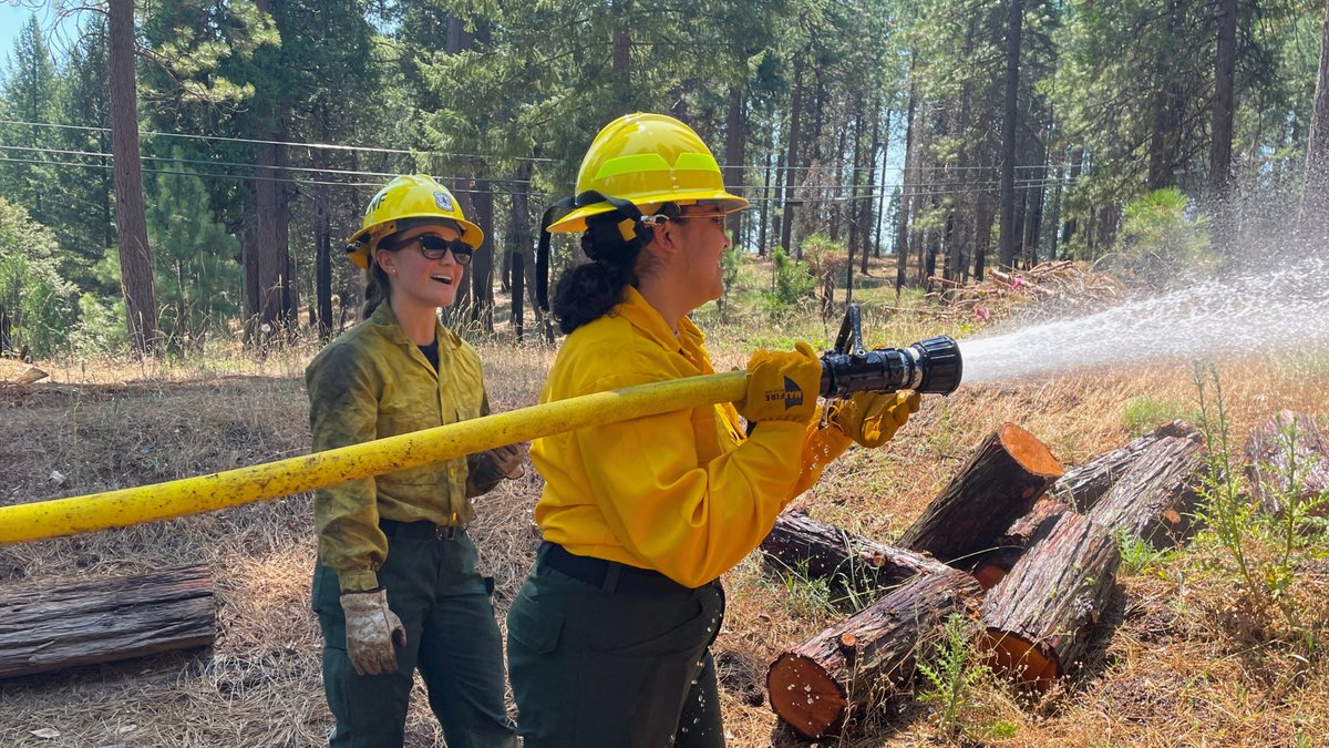 AmeriCorpsNCCC's tweet photo. Learn more about #ForestCorps, the newest @AmeriCorps NCCC program, from AmeriCorps NCCC Director, Ken Goodson. Know someone who may be interested? Applications open in November, to serve as an @AmeriCorpsNCCC Forest Corps member in Summer 2025! https://t.co/xqgtylfqwV https://t.co/NbtmPzopzB