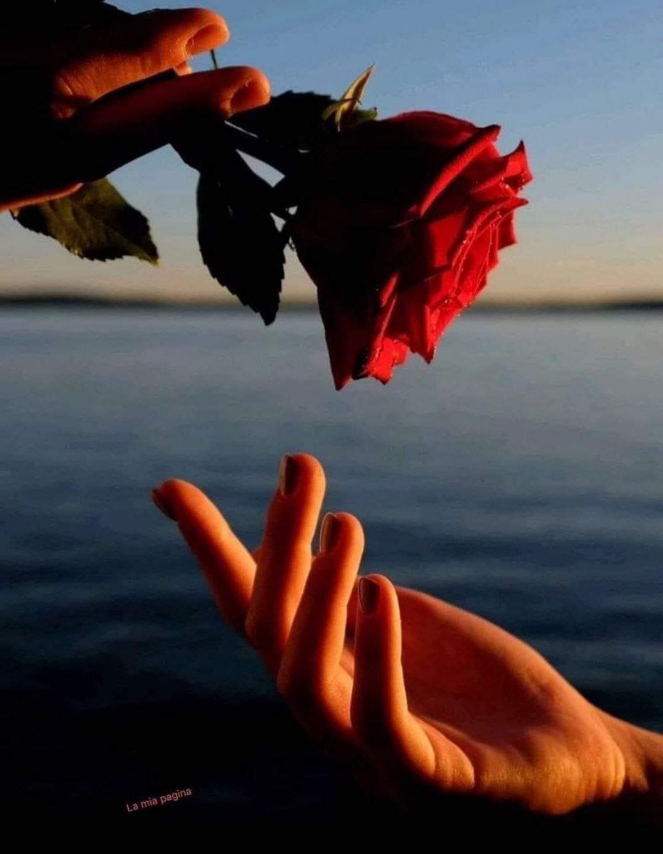 Hayat Ne Kadar Acımasız Olsada, Acıyı Unutturan Sevdiklerimizin Varlığıdır...√
...
Vereni ''MAĞRUR'', alanı ''MAHÇUP'' etmeyen tek şey ''SEVGİ'' dir... Ve insan, içindeki sevgisinin ağırlığınca..
''İNSAN'' dır..!