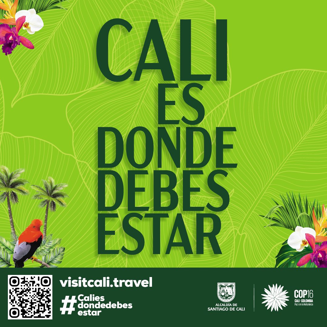Caliturismocol's tweet photo. 🌍 ¡Hoy es el Día Mundial del Turismo y Cali brillará en el Times Square! Nuestra ciudad llena de cultura y salsa llega al corazón de Nueva York. #CaliEsDondeDebesEstar

@MabelLaraDinas @alejoeder @AlcaldiaDeCali https://t.co/1j5biz9Nys