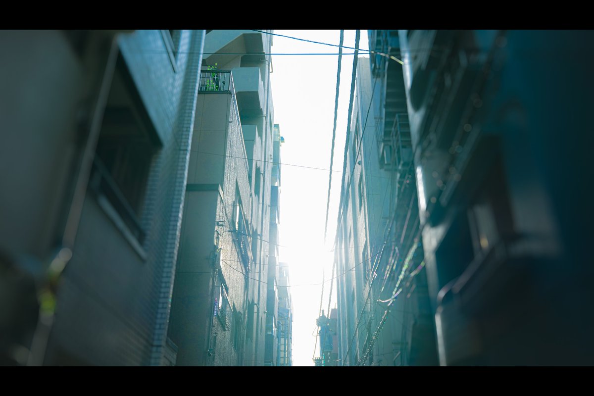 WH1TEEND tweet media