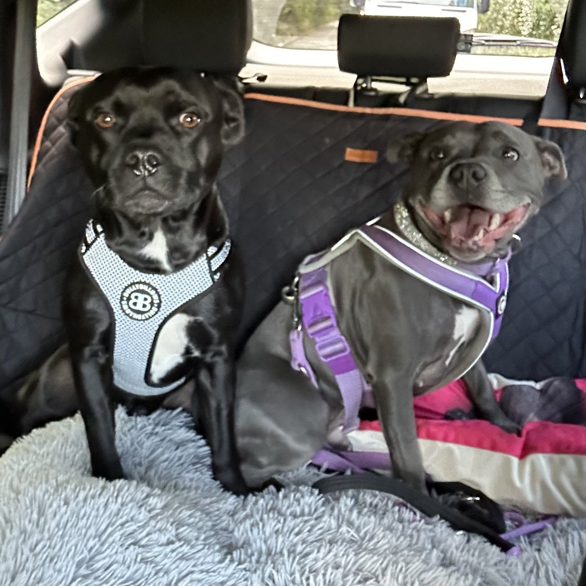 Baby Frank & his teddy, Edward 🧸🏴󠁧󠁢󠁷󠁬󠁳󠁿 tweet media