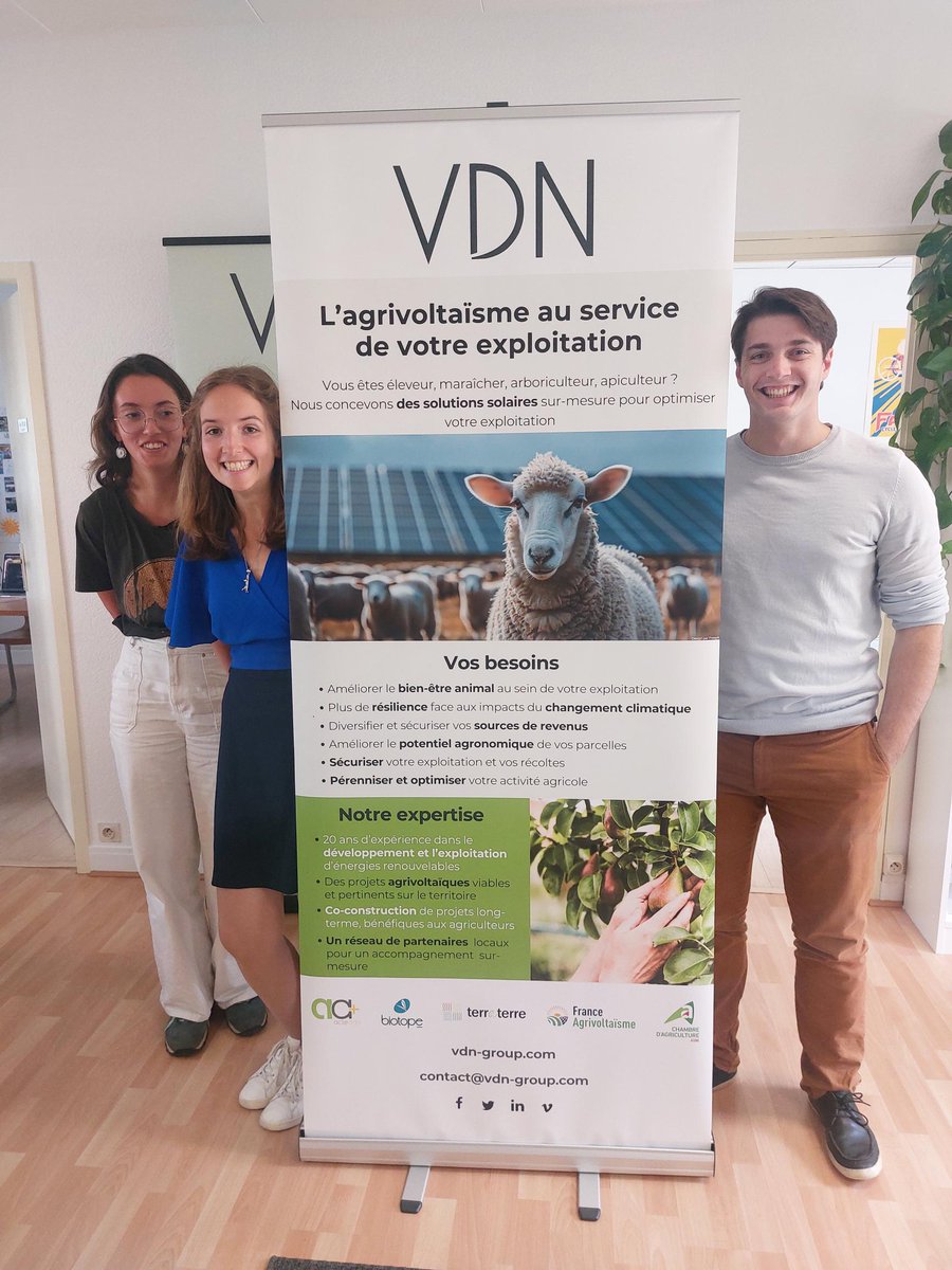 VDN Group tweet media