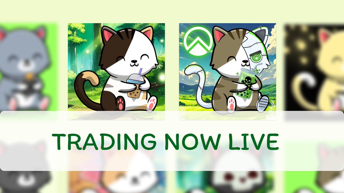 Zircuit Catto tweet media