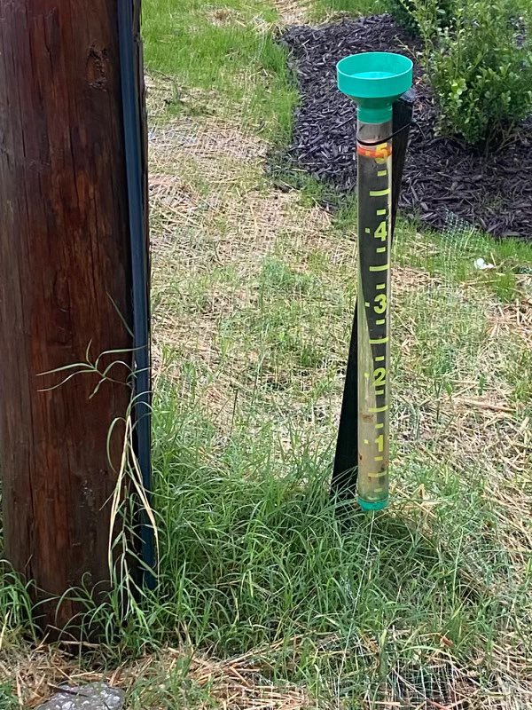 Sara Sullivan tweet media