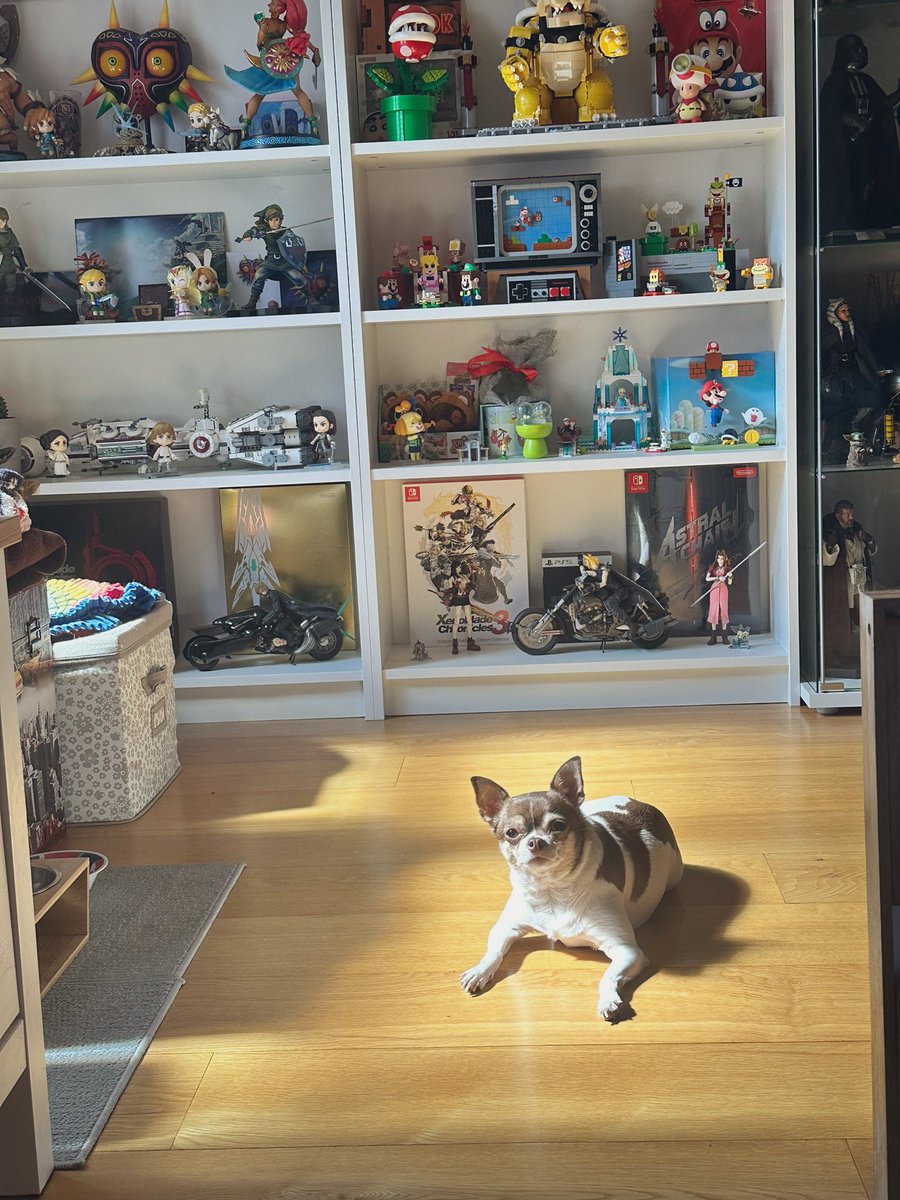 Dri 🎮 tweet media