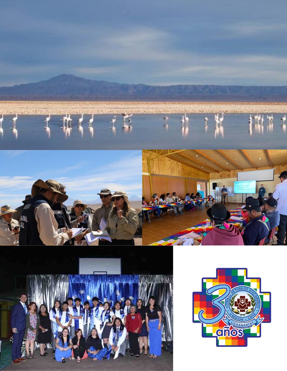 Consejo de Pueblos Atacameños tweet media