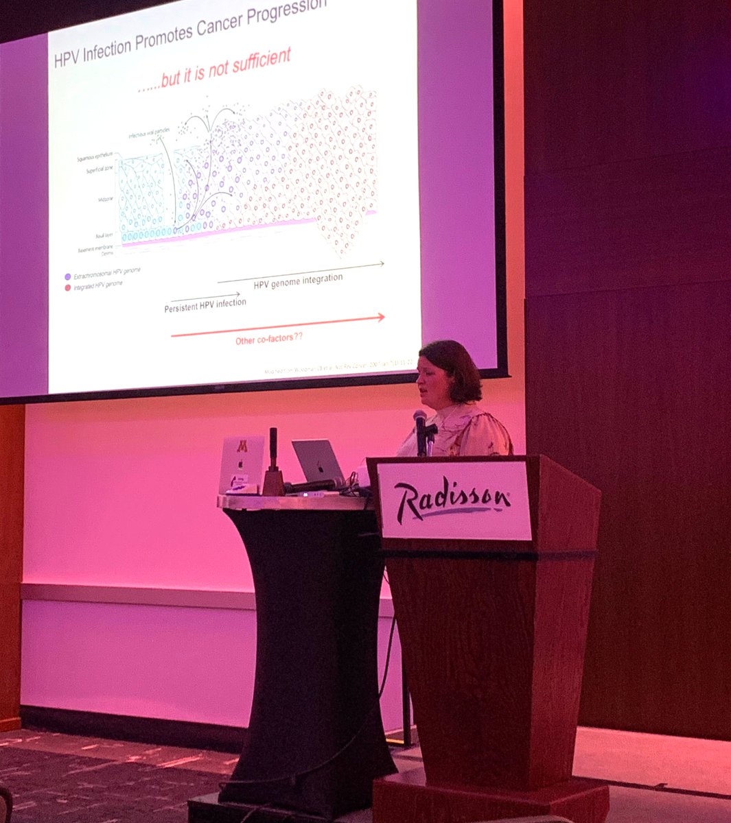 Nate Sherer (@natesherer) on Twitter photo Amazing keynote on the famous purple-pink stage at Wisc-e-Sota 2024 from @SpurgeonLab! Excited for our newest faculty <a href="/McArdleLab/">McArdle Laboratory</a> <a href="/MadisonVirology/">MadisonVirology</a> <a href="/Morgridge_Inst/">Morgridge Institute</a> and her lab's crucial work on DNA tumor viruses. Amazing keynote on the famous purple-pink stage at Wisc-e-Sota 2024 from @SpurgeonLab! Excited for our newest faculty <a href="/McArdleLab/">McArdle Laboratory</a> <a href="/MadisonVirology/">MadisonVirology</a> <a href="/Morgridge_Inst/">Morgridge Institute</a> and her lab's crucial work on DNA tumor viruses.