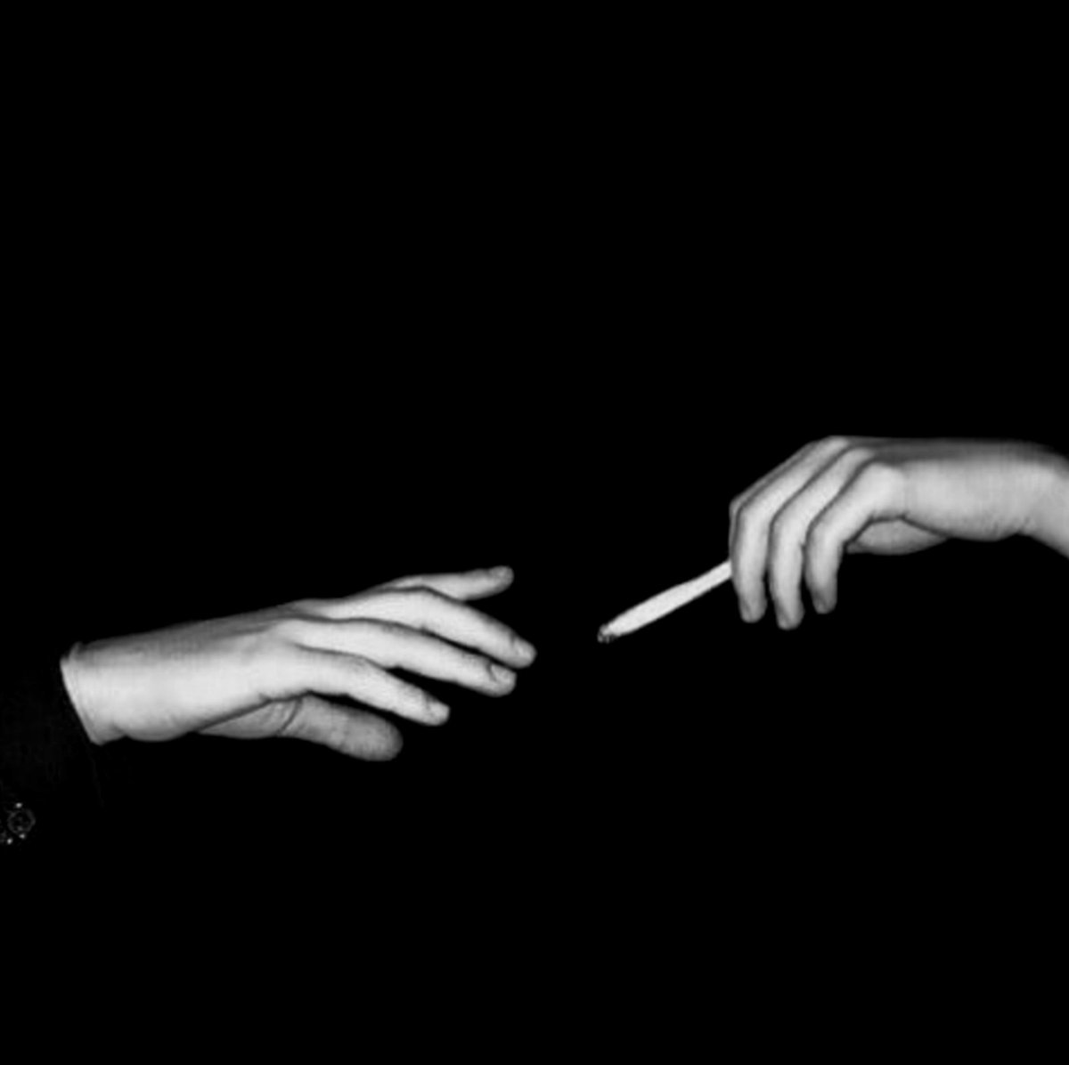 мы лишь два дурака, что хотели свободной жизни.