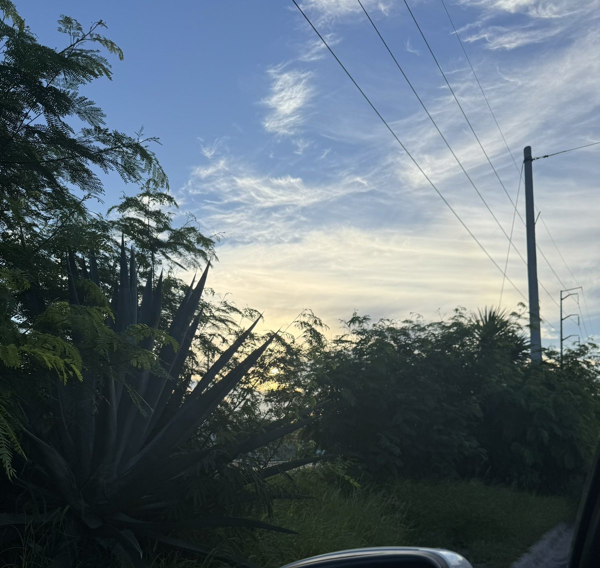 aniuxcgr's tweet photo. @Cicmty  buen día! así la parte lateral de la eco vía en Ave. Lincoln ente Ave Puerta de Hierro y Ave. Real de Cumbres. https://t.co/1Qo1jFQdSd