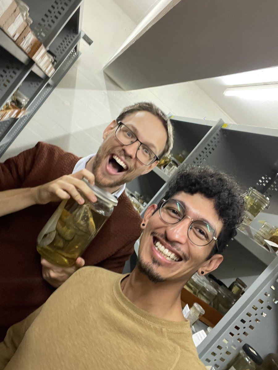 Raúl González-Pech (@raulgoch.bsky.social) tweet media