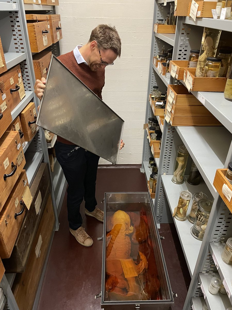 Raúl González-Pech (@raulgoch.bsky.social) tweet media