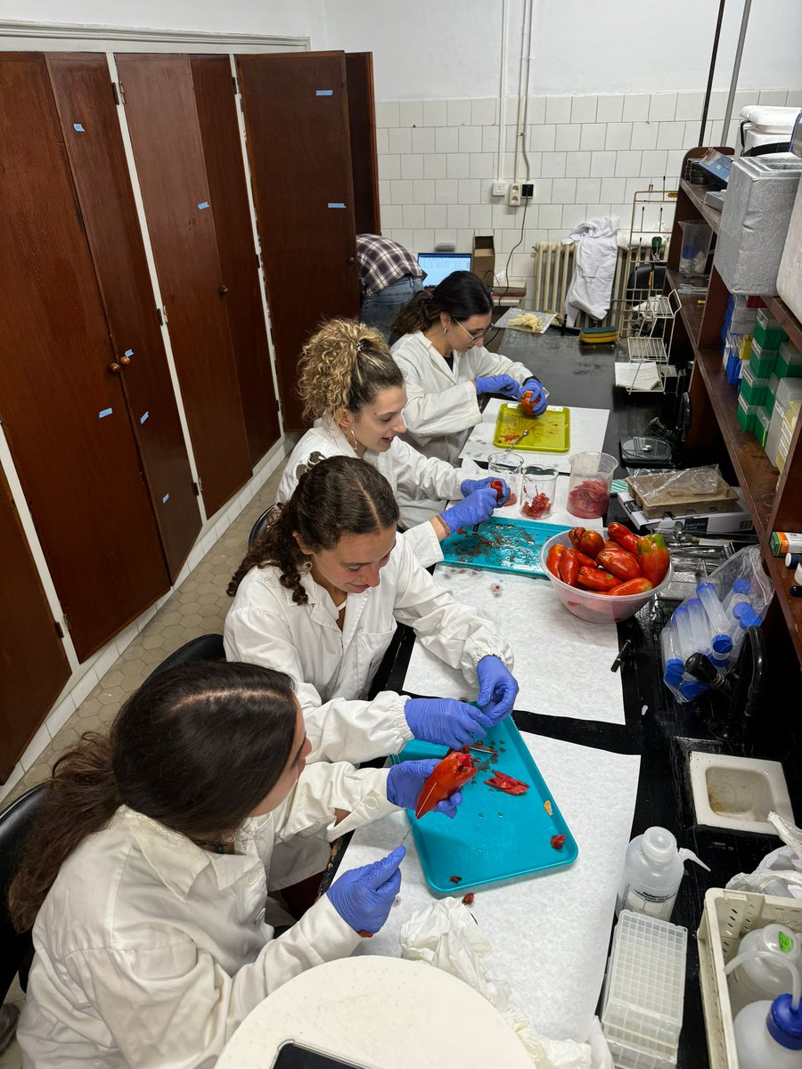 Polyphenol_Research tweet media