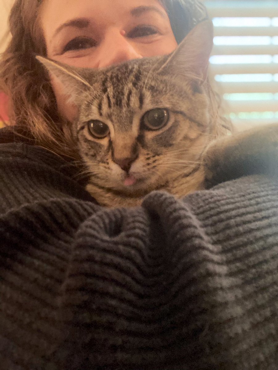 dr. alicia andrzejewski (she/her) tweet media