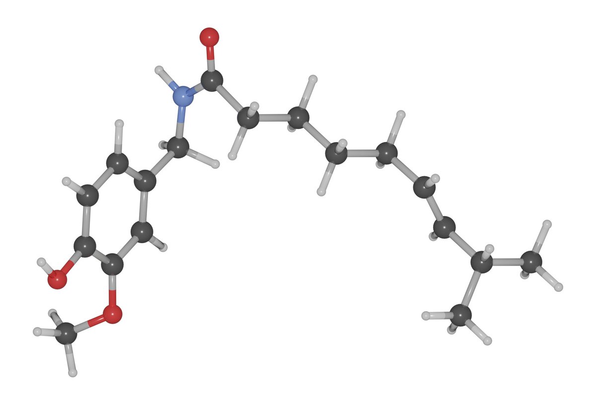 DigichemProject's tweet image. Back by popular (?) demand: It&apos;s chemistry up real close! This week we have a real hot treat, it&apos;s Capsaicin! This is the molecule that&apos;s largely responsible for the burning sensation produced by hot peppers. A remarkably potent effect from a relatively simple molecule. #CURC