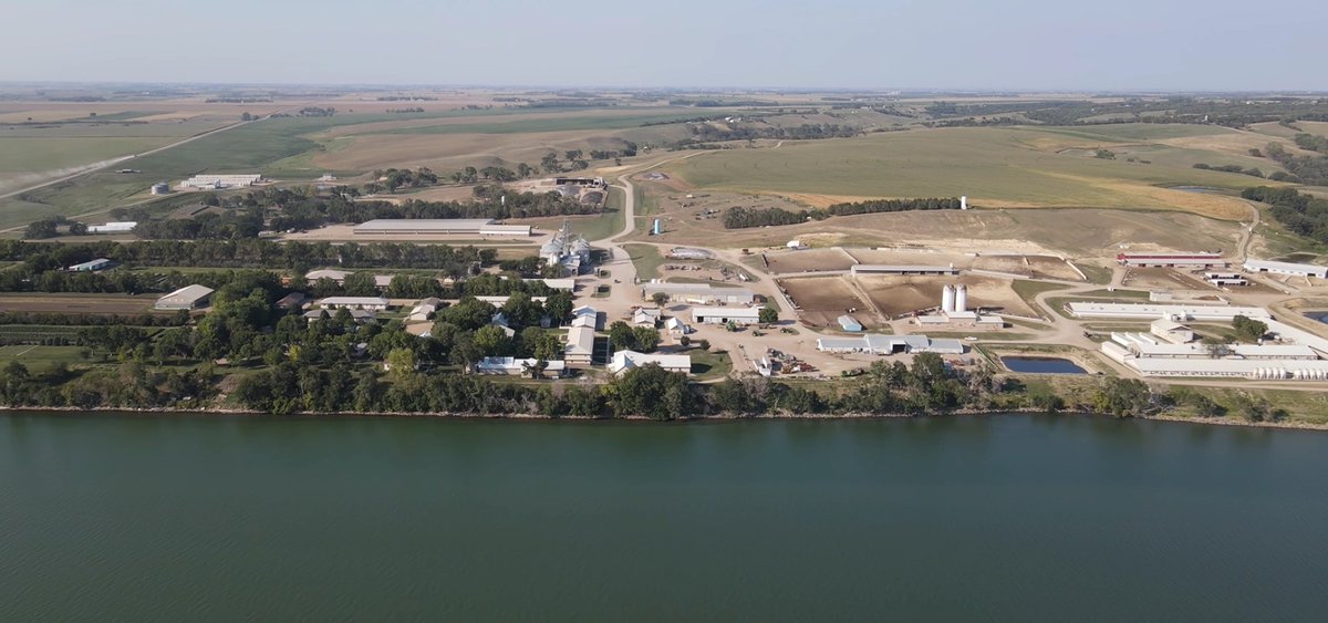 PhasonControls's tweet photo. "Phason's AutoFlex Connect and AutoSort Connect are easy to love by a farmer because farmers like an easy, straight forward set-up and dependable performance!" https://t.co/50bpRtKUlS  Leonhardtt Stahl, BonHomme Colony #PhasonControls #AutoFlexConnect #AutoSortConnect https://t.co/WcYbN9Hilk
