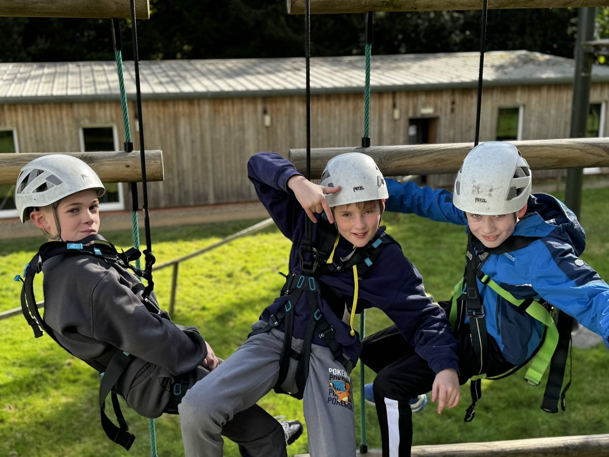 Year 6 TSP tweet media