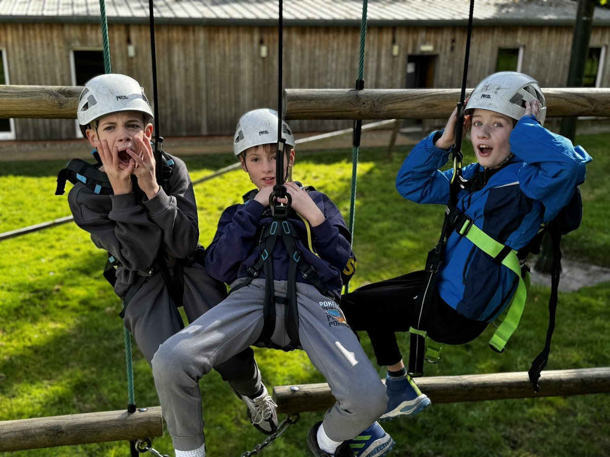 Year 6 TSP tweet media