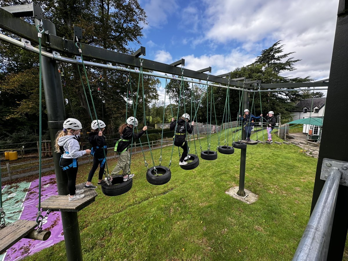 Year 6 TSP tweet media