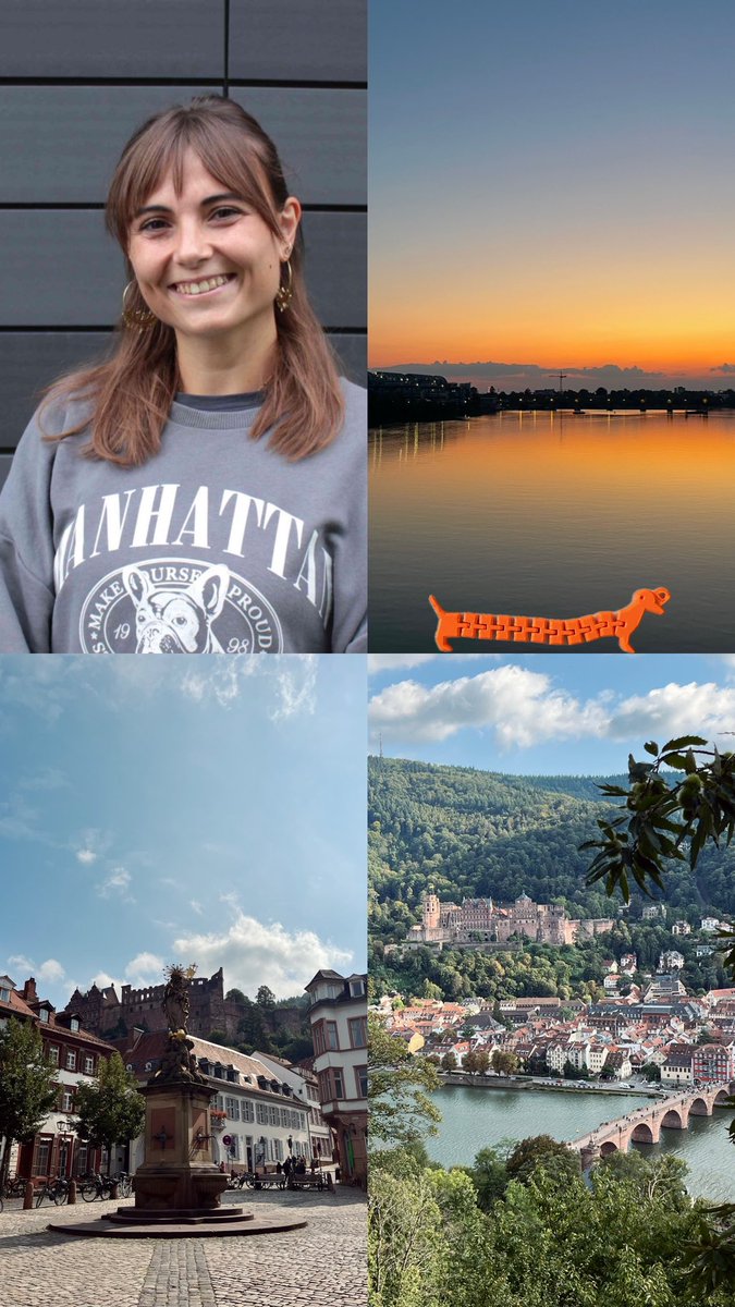 CarAuriaS's tweet photo. Last research stay as a visiting student at Blasco Group @EvaBlascoPo @Cluster3DMM2O in Heidelberg (Germany). Big thanks for all the support and new insights into material processing based on 3D printing! 👩🏼‍🔬🇩🇪 https://t.co/tIbhBW83j9