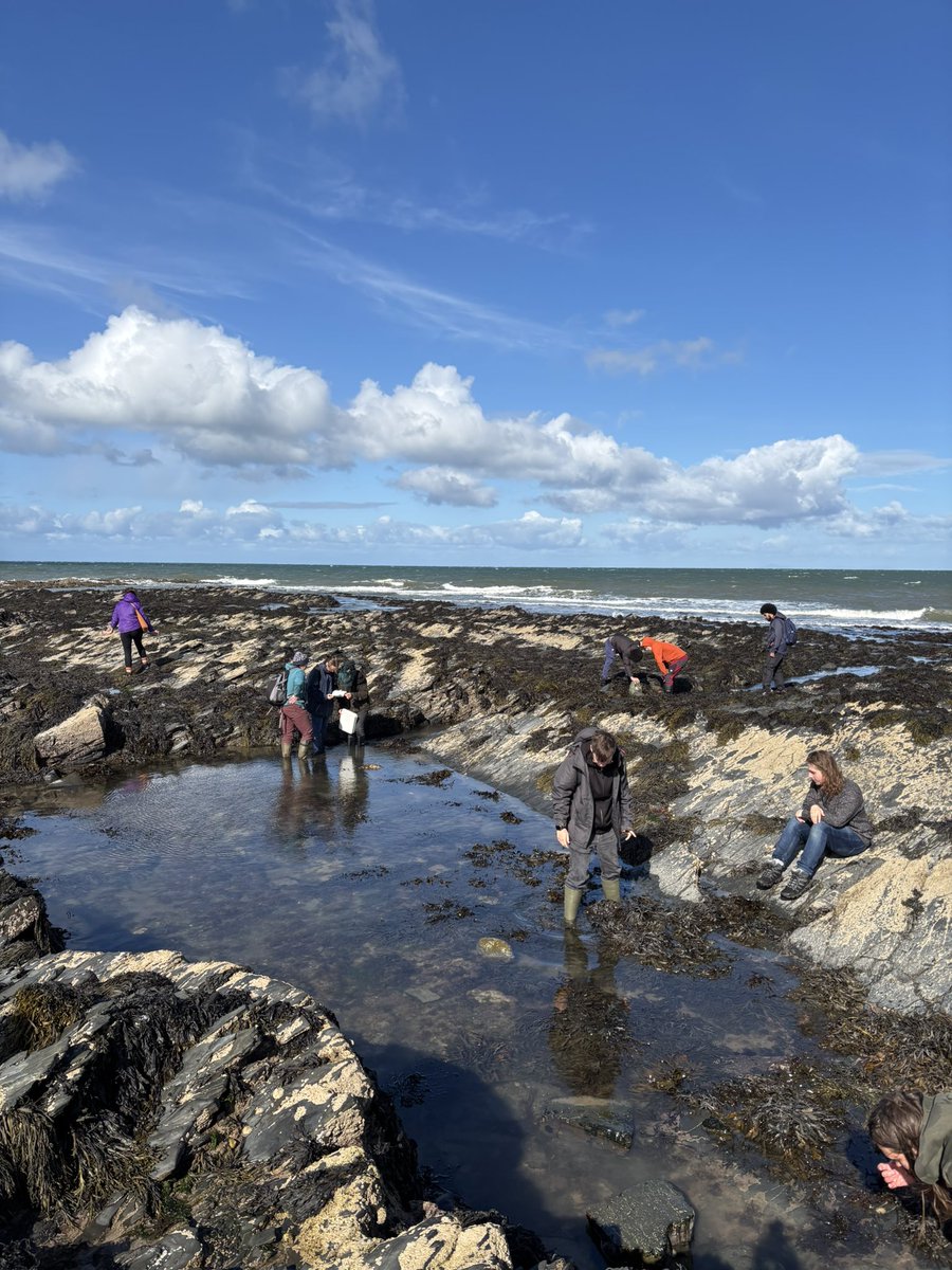 Iain Barber (@iainbarber) on Twitter photo A fabulous sunny day to introduce our new <a href="/AberUni/">Aberystwyth University</a> <a href="/AberDLSAGB/">Aberystwyth University DLS/AGB</a> 1st year BSc Marine & Freshwater Biology students to to wonders of College Rocks! More pics @ flic.kr/s/aHBqjBK9sF #aberuni A fabulous sunny day to introduce our new <a href="/AberUni/">Aberystwyth University</a> <a href="/AberDLSAGB/">Aberystwyth University DLS/AGB</a> 1st year BSc Marine & Freshwater Biology students to to wonders of College Rocks! More pics @ flic.kr/s/aHBqjBK9sF #aberuni