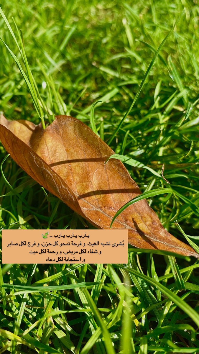 زينب الغامدي..يآرب رضاك🍃 tweet media