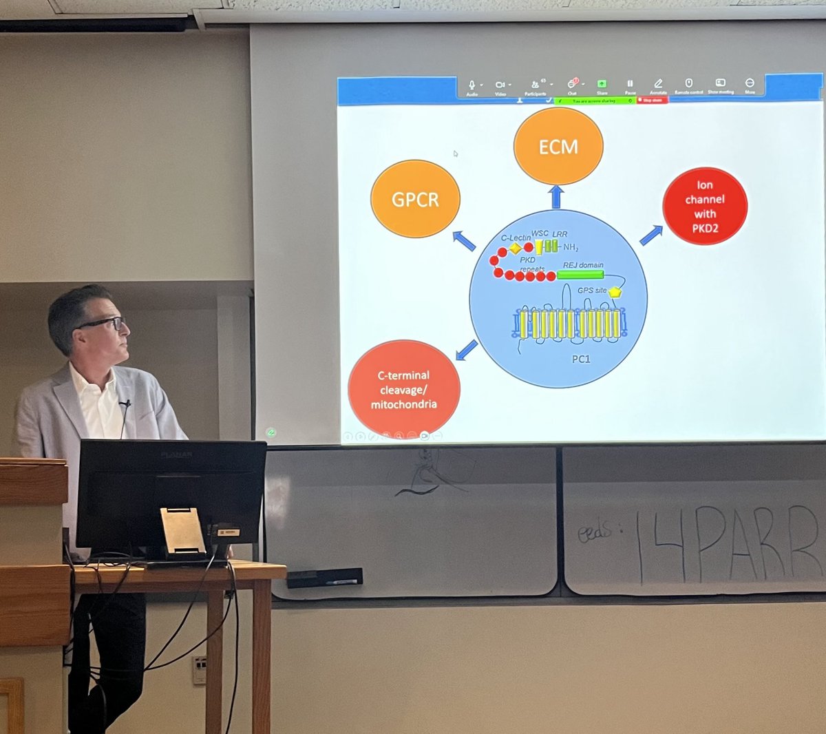 Alan Yu🇭🇰 (@alanyuneph) on Twitter photo Starting now! Grantham Symposium 2024
<a href="/MarkusDellingSF/">Markus Delling</a> <a href="/UCSFMedicine/">UCSF School of Medicine</a>
Characterization of ADPKD causing mutations in PKD1 Starting now! Grantham Symposium 2024
<a href="/MarkusDellingSF/">Markus Delling</a> <a href="/UCSFMedicine/">UCSF School of Medicine</a>
Characterization of ADPKD causing mutations in PKD1